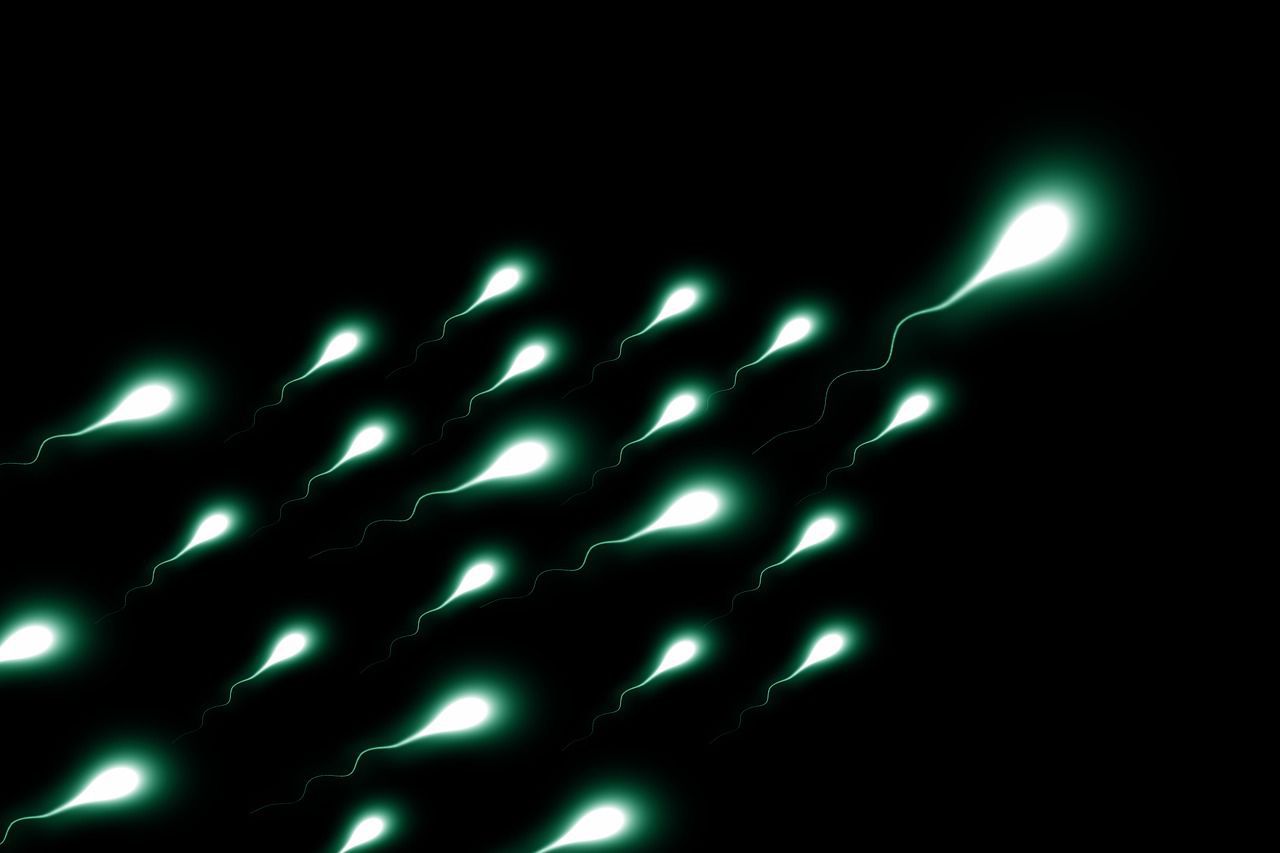 Instructive Article about Lubricants, Sperm Motility, and Fertility